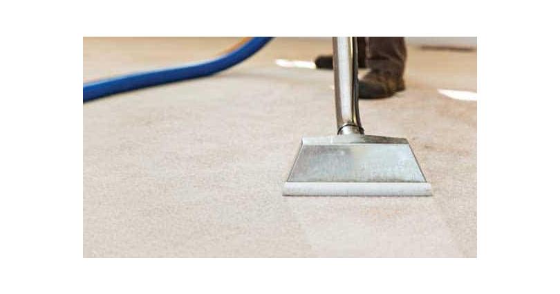 How to Disinfect a Carpet