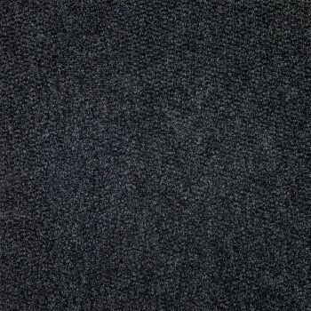 Sample of TE18 Graphite Carpet Tiles