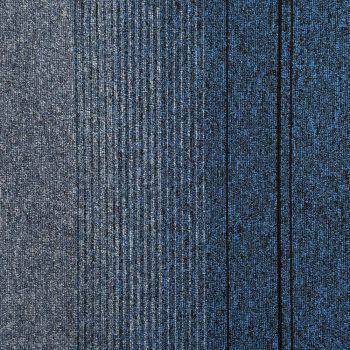 Sample of T65 Marine