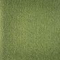 The Constellation Limerick carpet tiles are a perfect blend of various greens to create a carpet tile that looks vibrant and pleasing to the eye. The tufted loop pile tile structure and the 100% solution dyed nylon yarn construction adds to the heavy cont