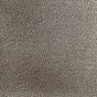 T65 Mushroom Carpet Tiles